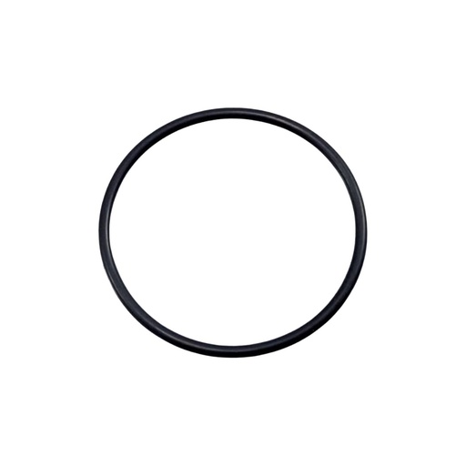 O-RING 38P5X2