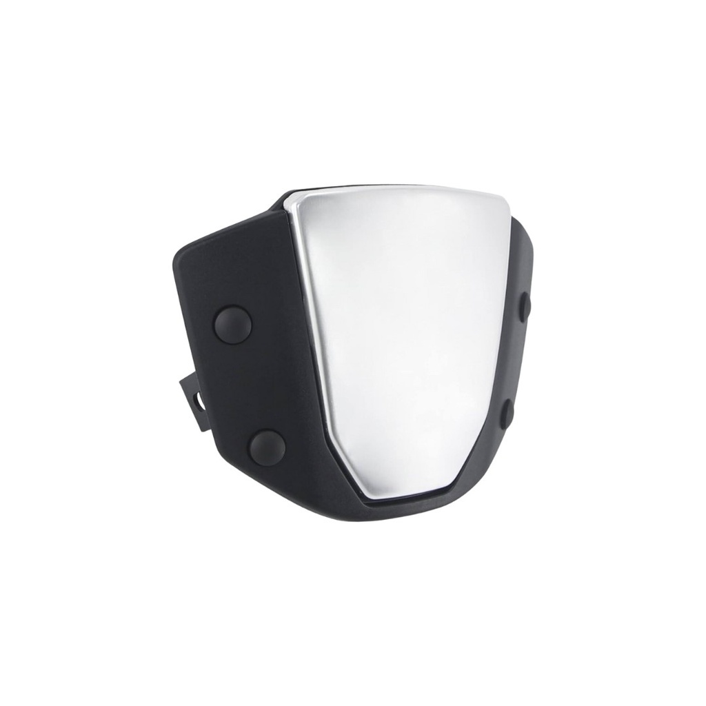 VISOR SHIELD