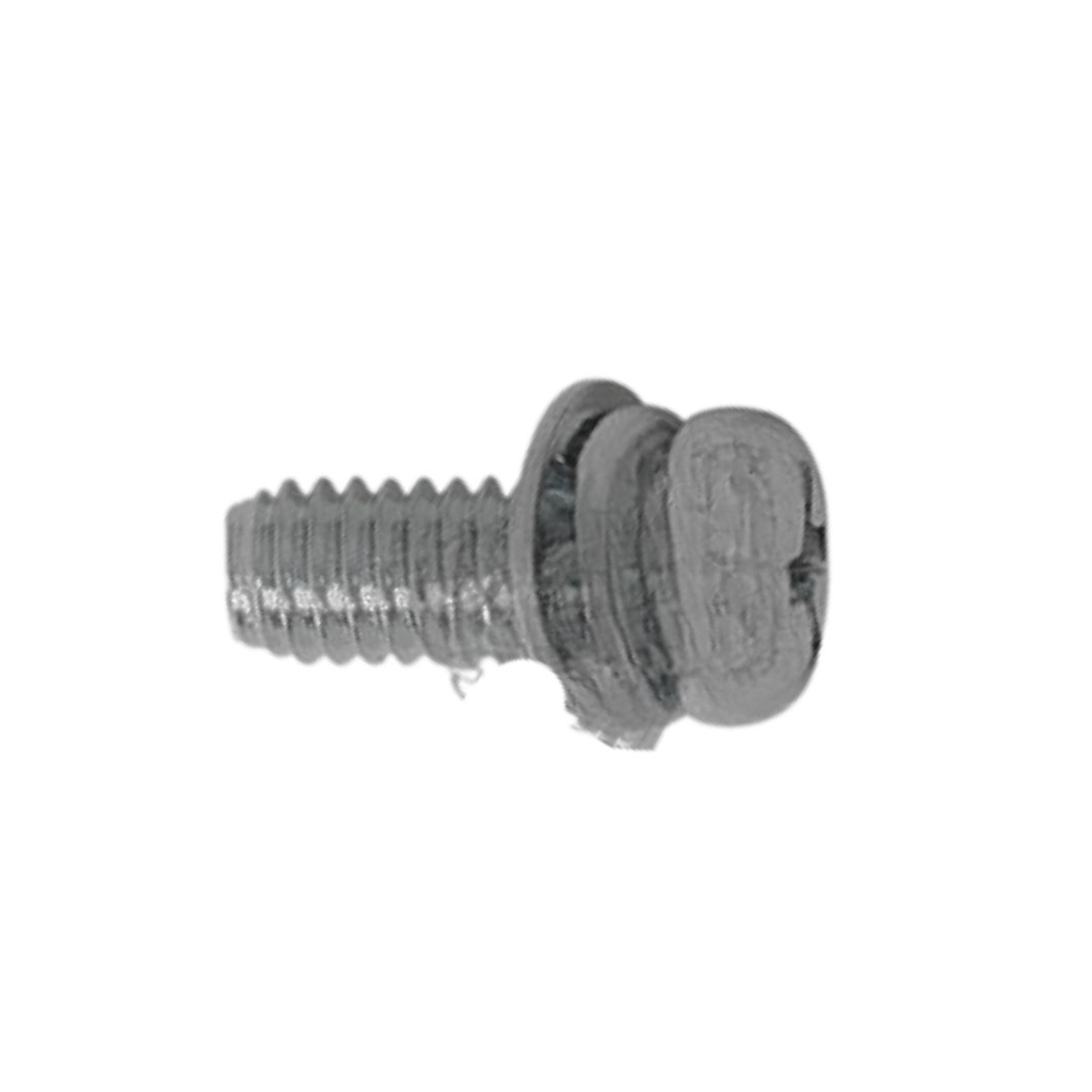 SCREW-WASHER, SPECIAL, 4X10 90035-166-008