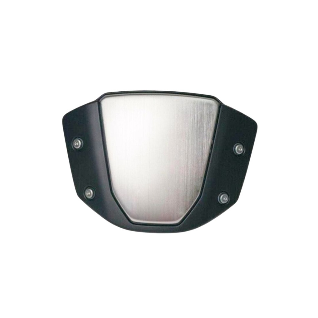 VISOR SHIELD