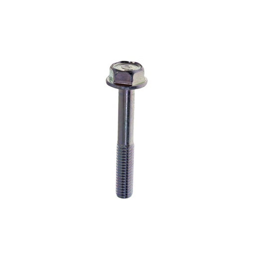 [95701-06030] PERNO BRIDA 6X30 95701-06030-00