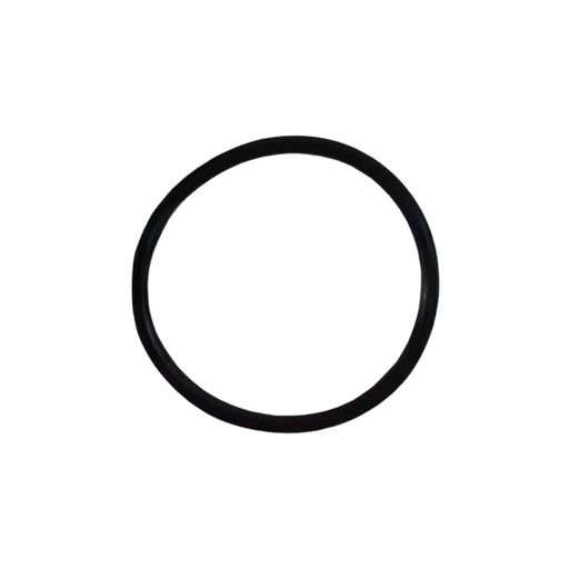 O RING 317X24