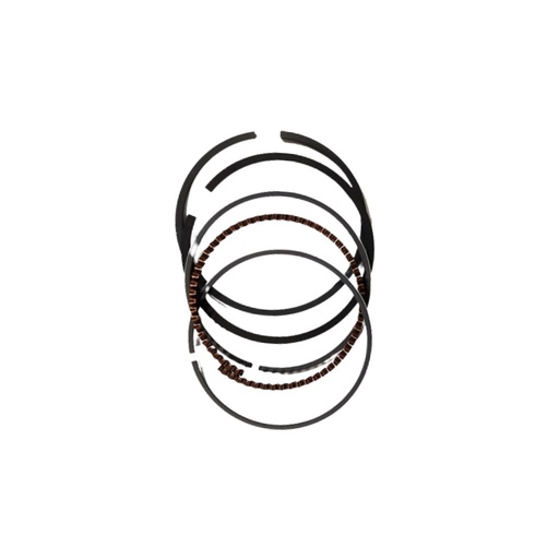 [13011-446-811] ANILLOS STD 13011-446-811